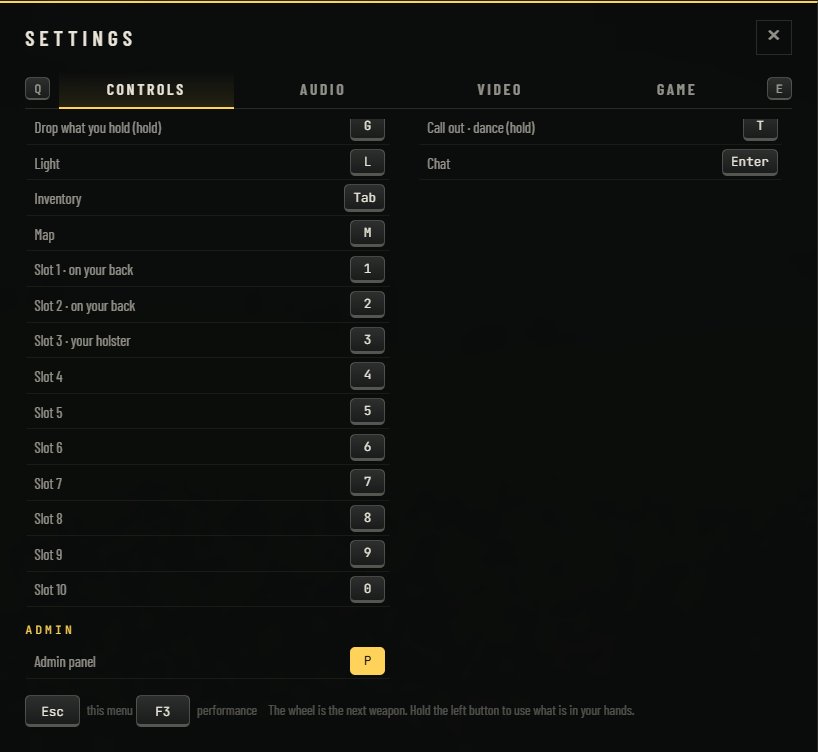 The Controls page of Settings, its key list ending in an Admin group with one row, Admin panel, set to P