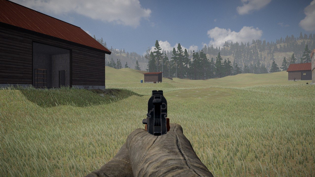 The Colt brought up to the eye: the front post in the notch of the rear sight