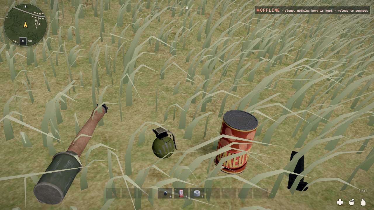 Looking down at grass: a stick grenade with a wooden handle, a small round green frag grenade, a tin of beans and a black pistol magazine lying side by side