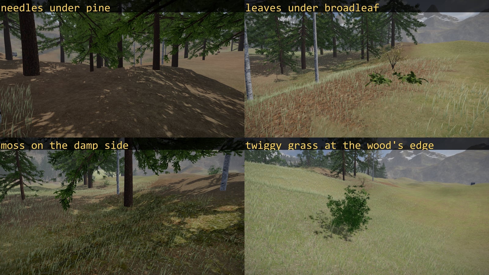 Four views of the floor of the woods, each with its name written on it: brown needles under pine; fallen leaves and long grass under broadleaf trees; moss on the damp side of a wood; twiggy grass at the wood's edge