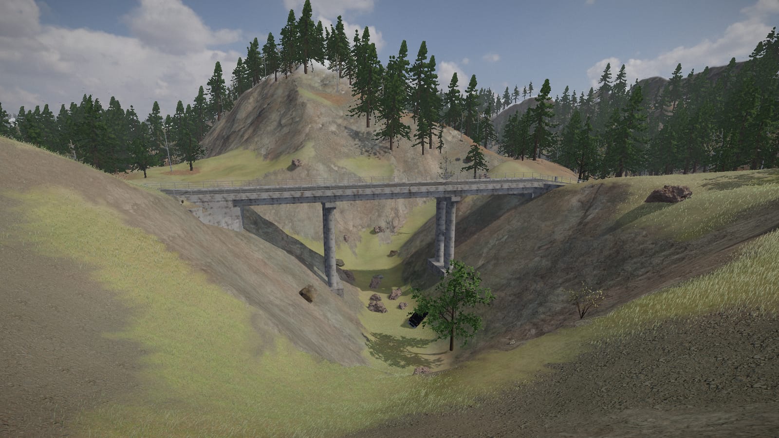 The bridge seen from the side: a concrete deck with a steel railing on two rows of round piers, crossing a grassy cleft between two hillsides, boulders and a wrecked car on the bed of the cleft under it and a wooded knoll behind