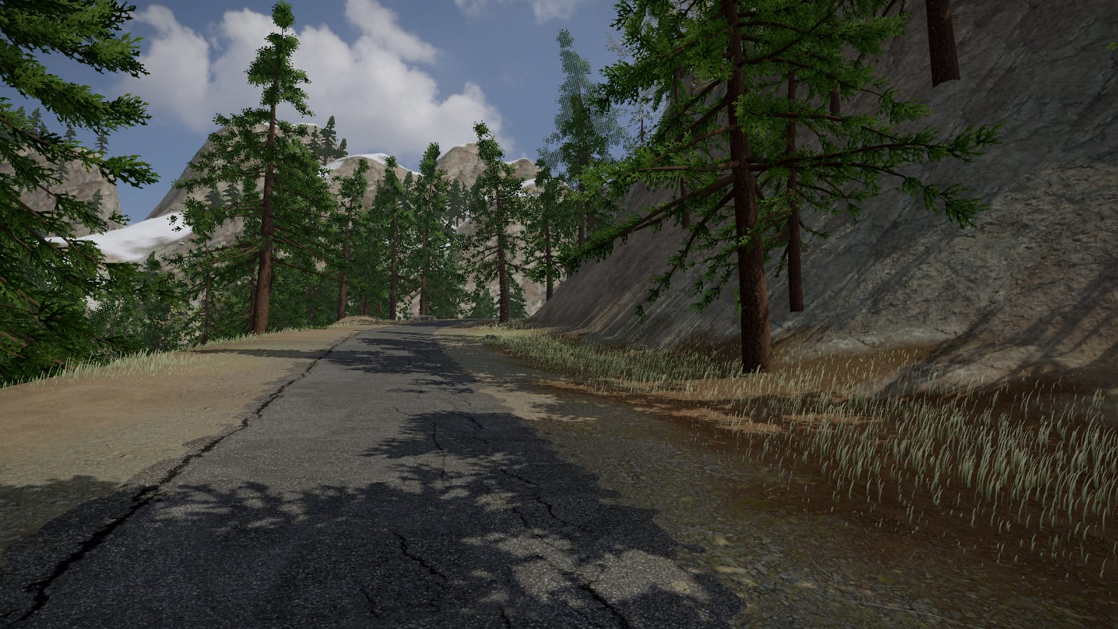 First person on a cracked asphalt road climbing through tall pines, a bank of dry grass on one side and a rock face on the other, snow on the mountain ahead