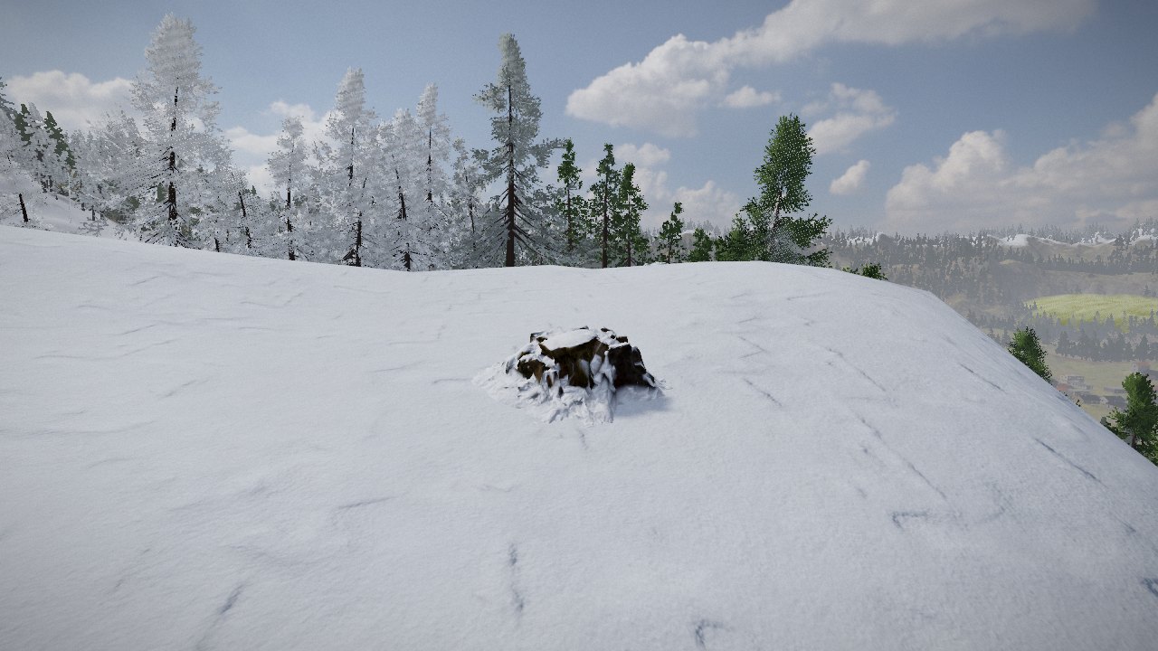 A tree stump sunk into deep snow, snow lying on its top and banked against its sides, frosted pines behind