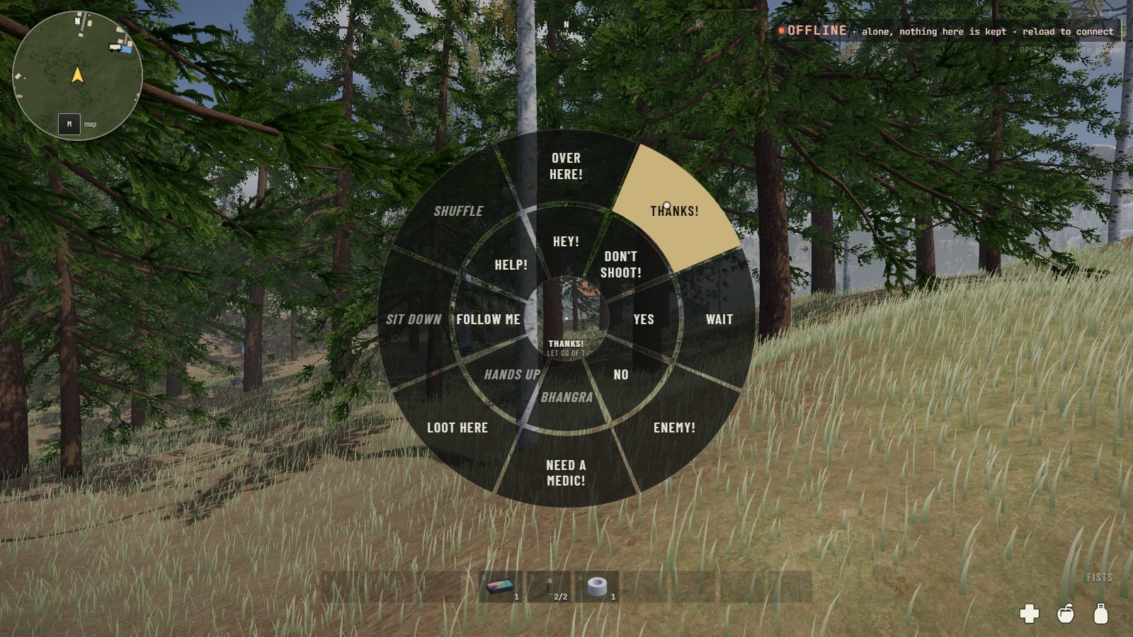 The emote wheel held up with T: an inner ring of Hey, Don't shoot, Yes, No, Bhangra, Hands up, Follow me, Help, and an outer ring of Over here, Thanks, Wait, Enemy, Need a medic, Loot here, Sit down, Shuffle; Thanks is picked on the outer ring